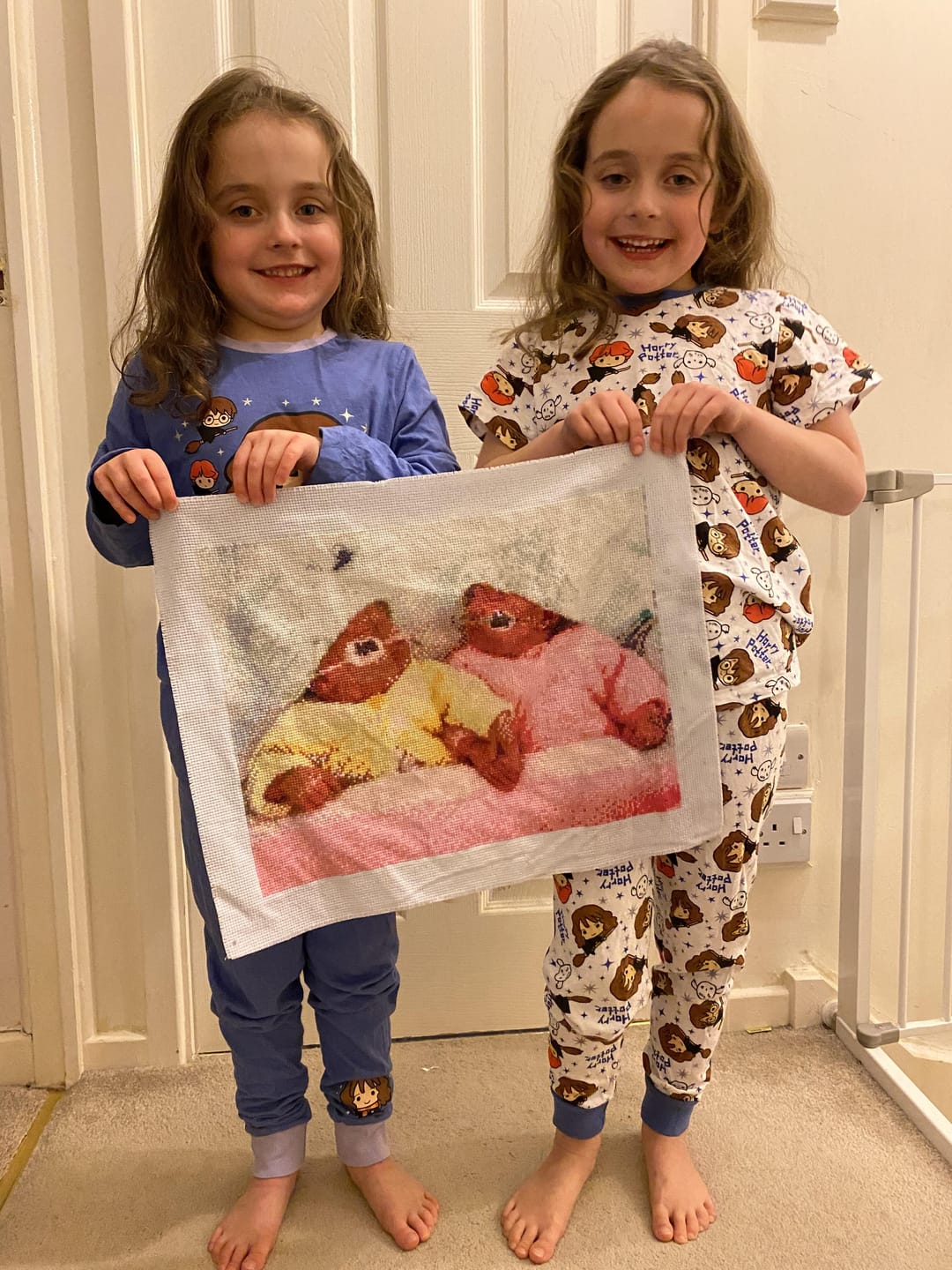 Custom Cross Stitch Tapestry Kit | Just Upload Your Photo! - Cross Stitched