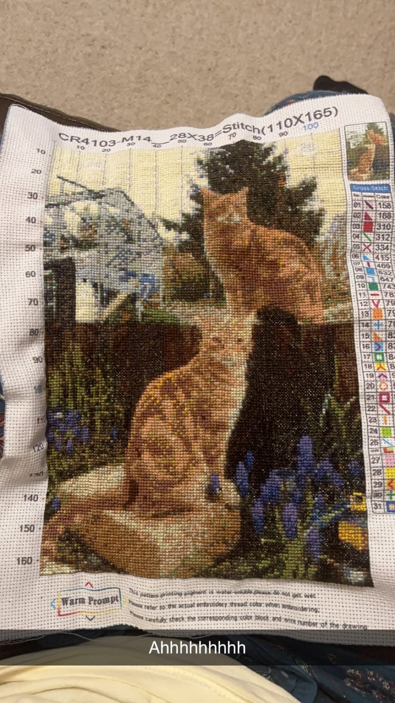 Custom Cross Stitch Tapestry Kit | Just Upload Your Photo! - Cross Stitched